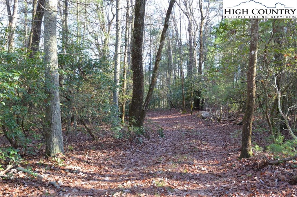 Image number 6 for the current listing