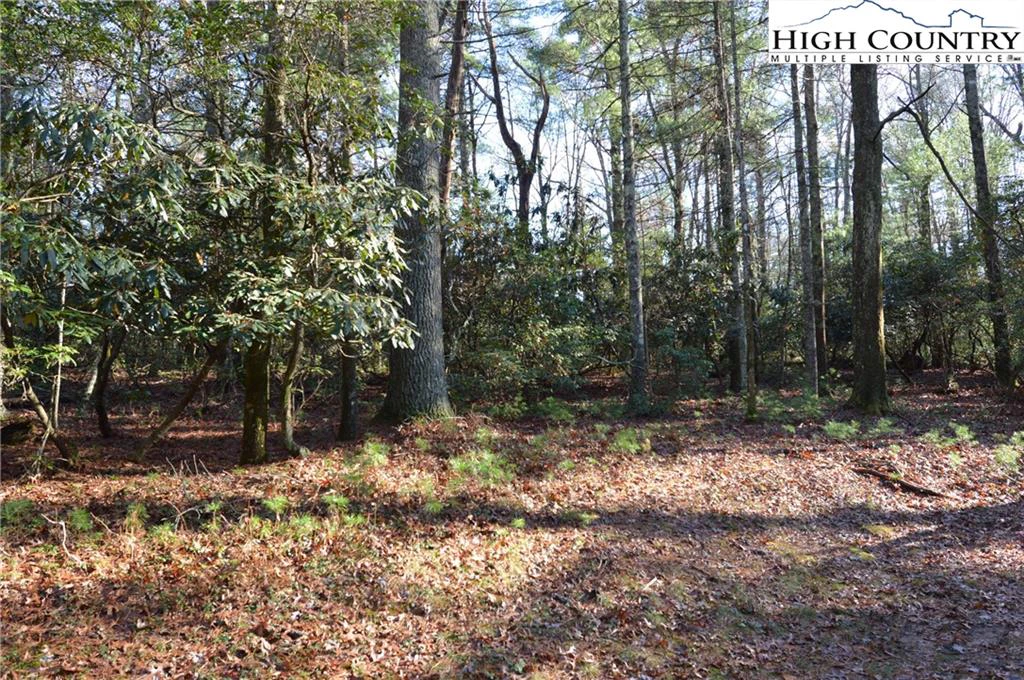 Image number 7 for the current listing