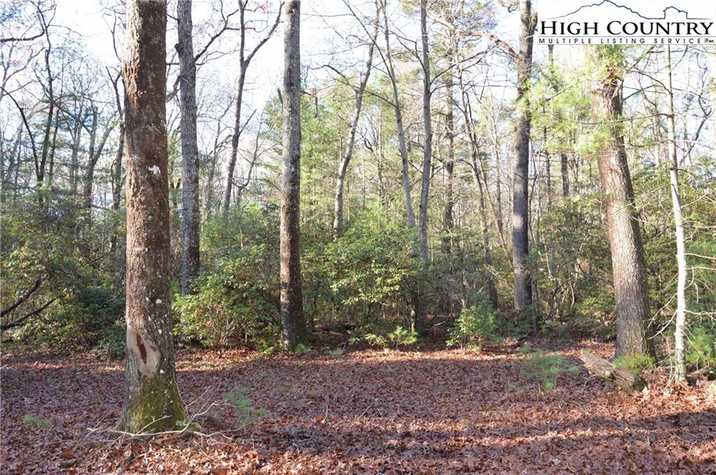 Image number 9 for the current listing
