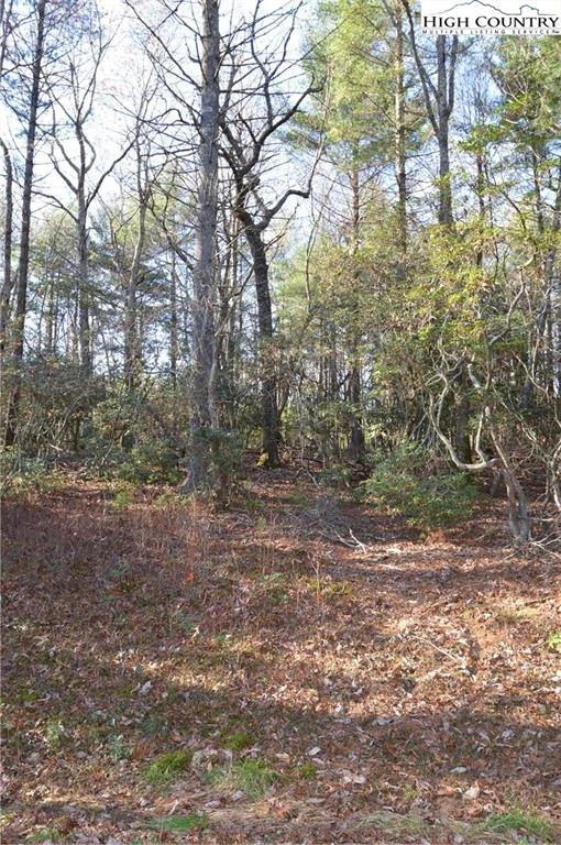 Image number 10 for the current listing