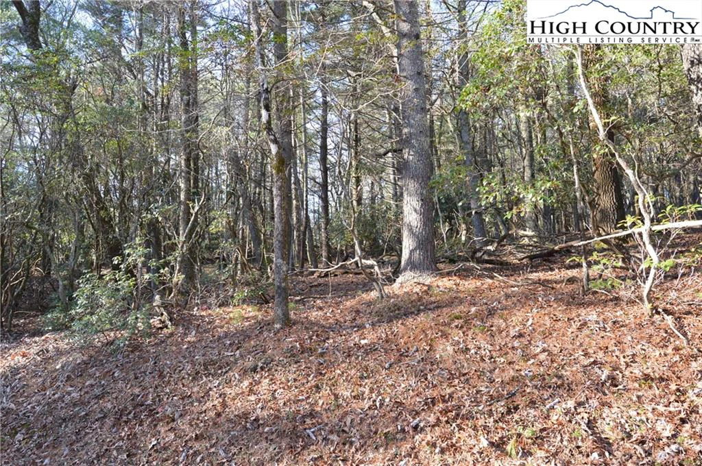 Image number 11 for the current listing