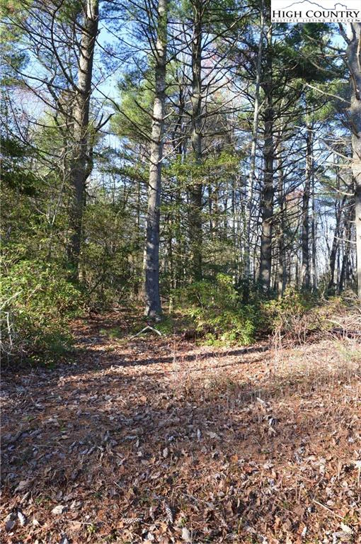 Image number 12 for the current listing