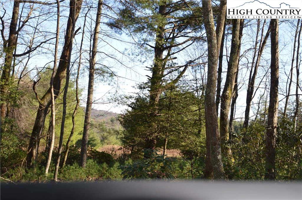 Image number 13 for the current listing