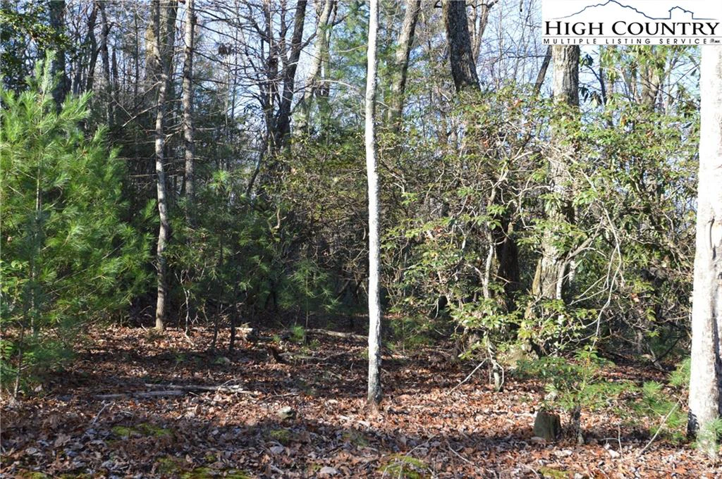 Image number 2 for the current listing