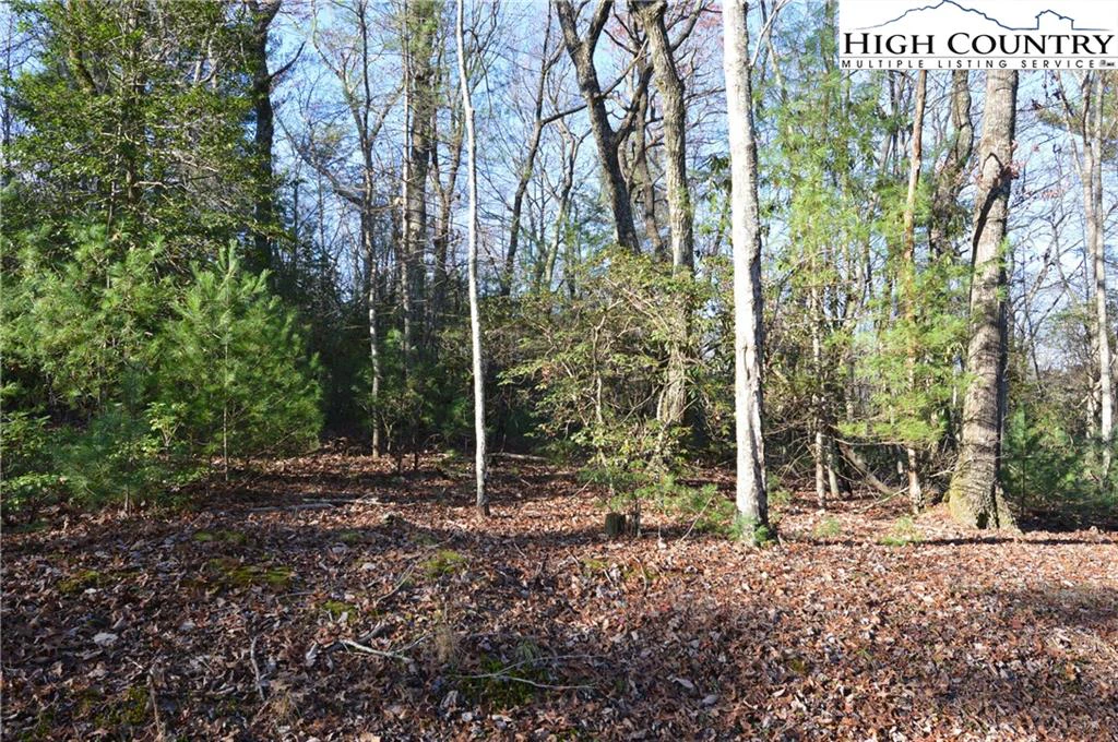 Image number 15 for the current listing