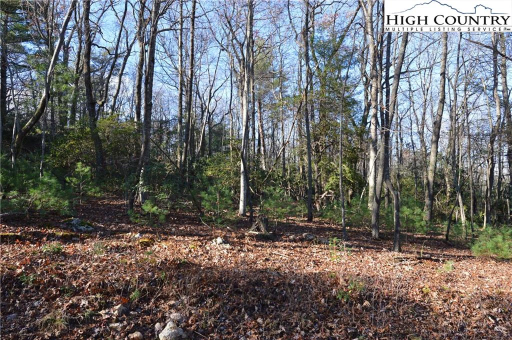 Image number 16 for the current listing