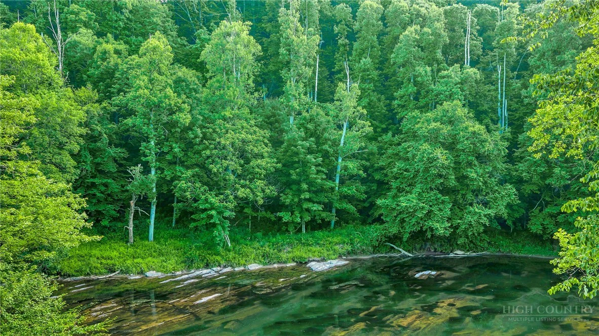 Image number 4 for the current listing