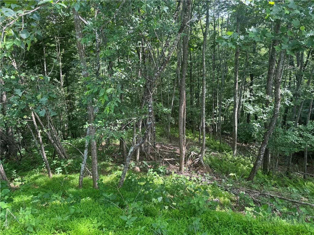 Image number 2 for the current listing