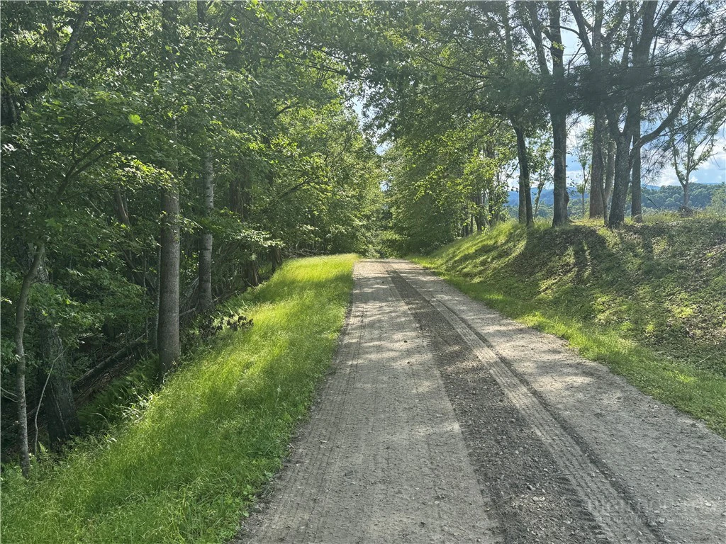 Image number 7 for the current listing