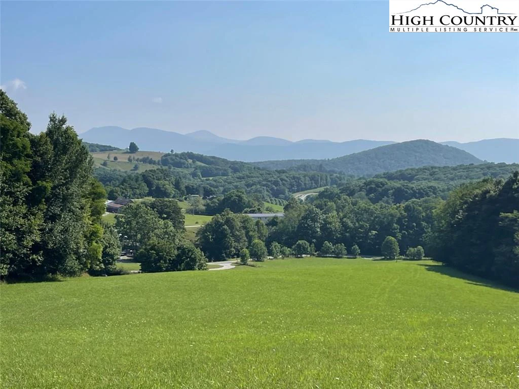 Image number 1 for the current listing