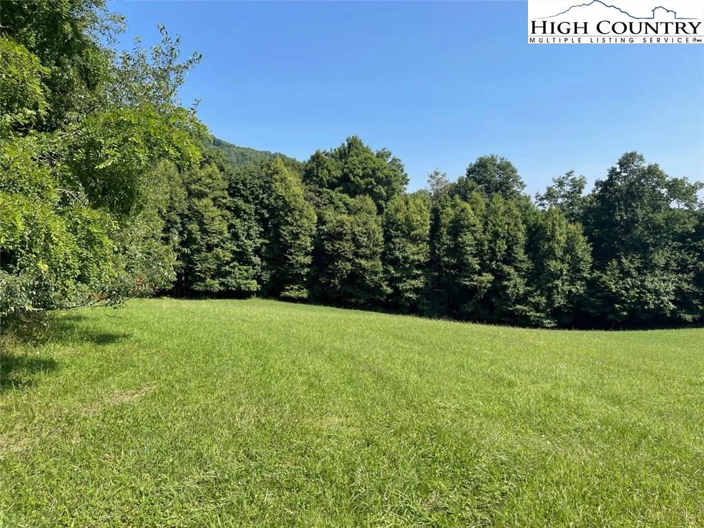 Image number 3 for the current listing