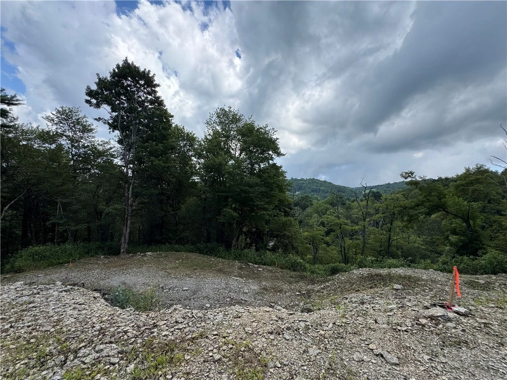 Image number 1 for the current listing
