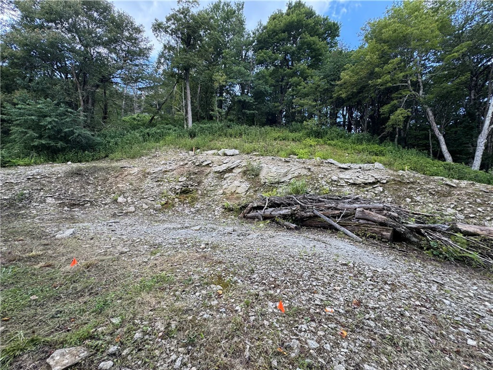 Image number 3 for the current listing