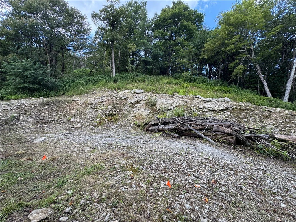 Image number 3 for the current listing