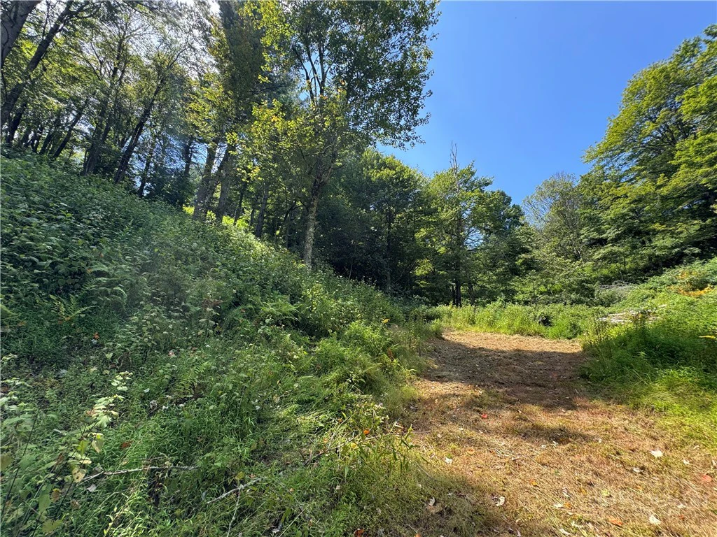 Image number 5 for the current listing
