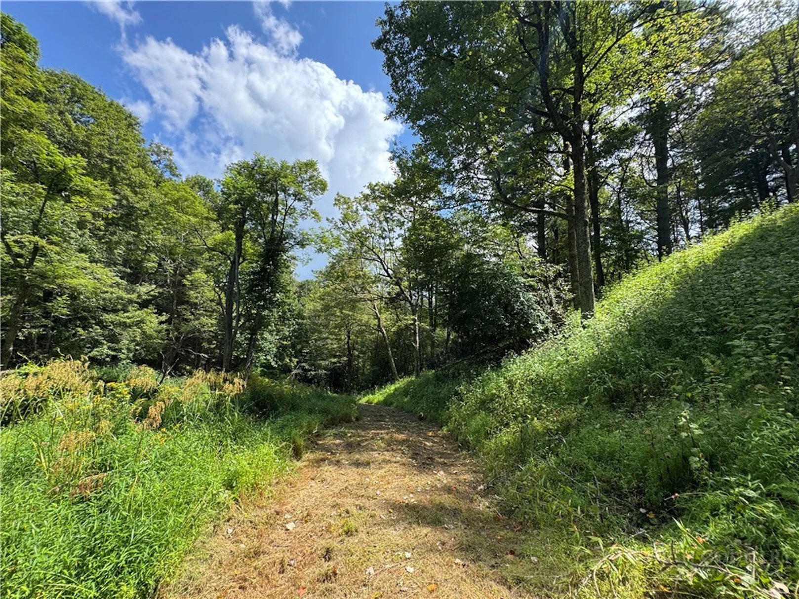 Image number 6 for the current listing