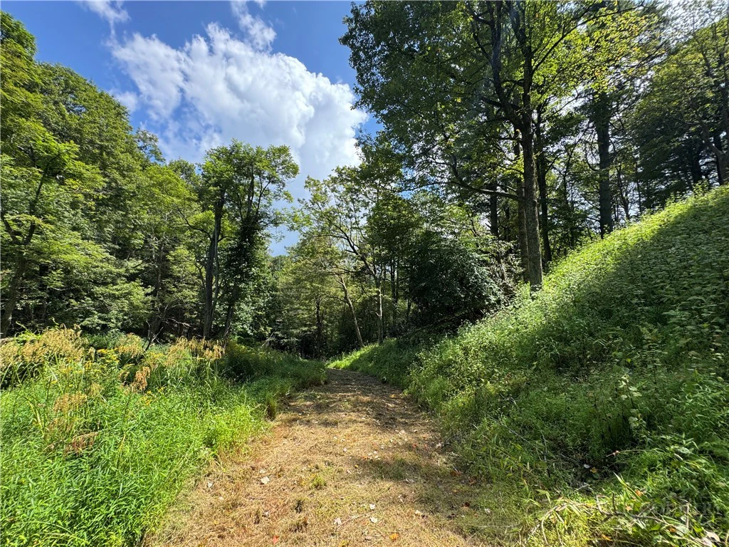 Image number 6 for the current listing