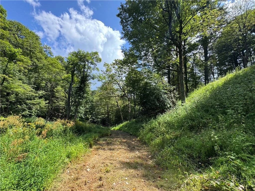 Image number 7 for the current listing