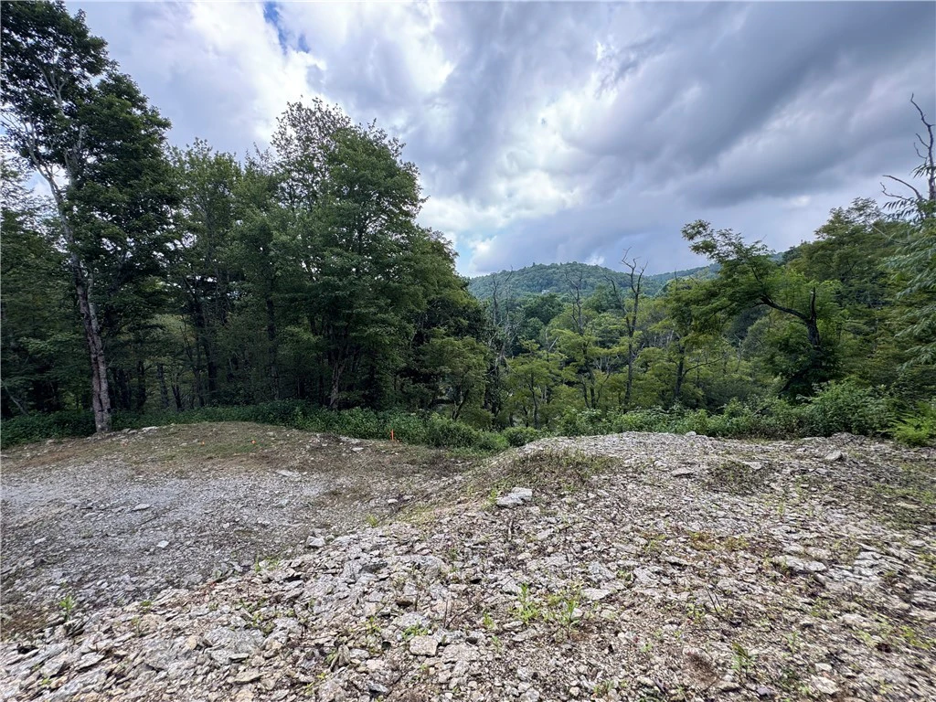 Image number 11 for the current listing