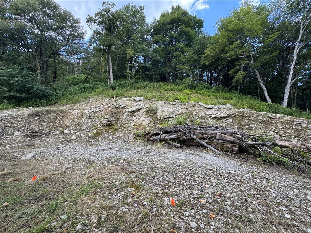 Image number 12 for the current listing