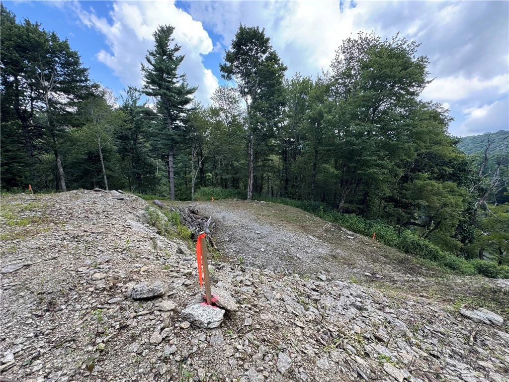Image number 13 for the current listing