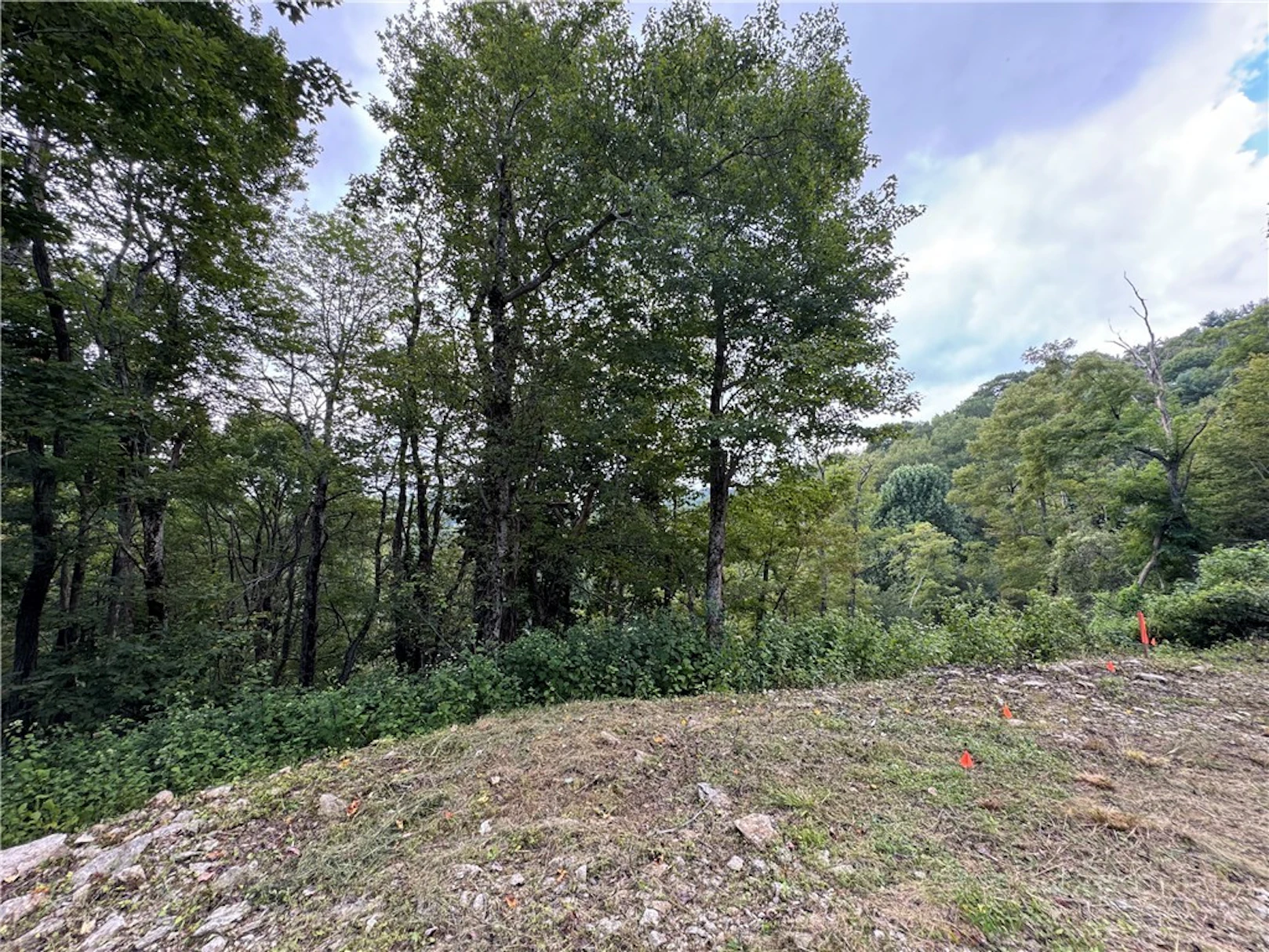 Image number 14 for the current listing