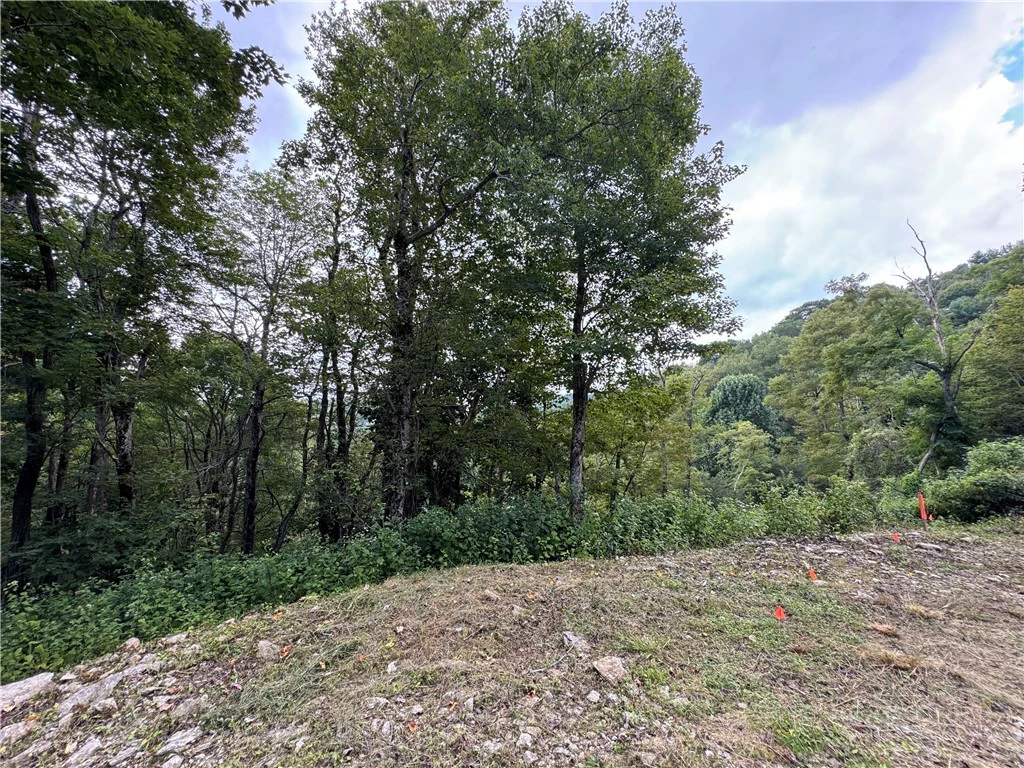 Image number 14 for the current listing