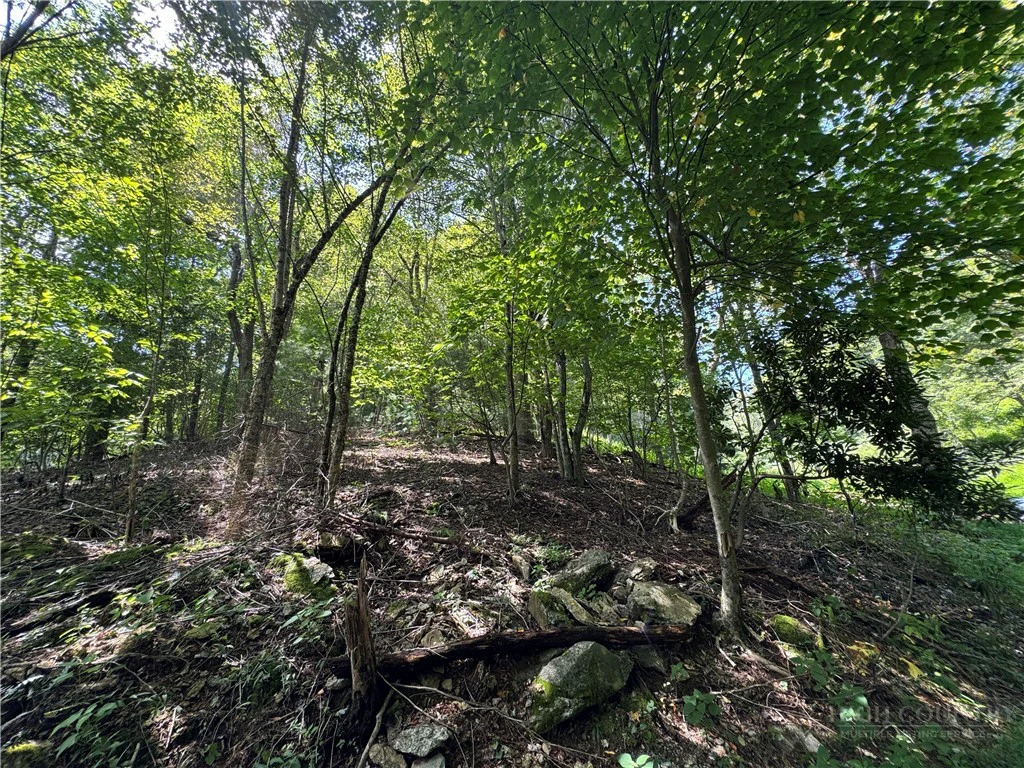 Image number 16 for the current listing