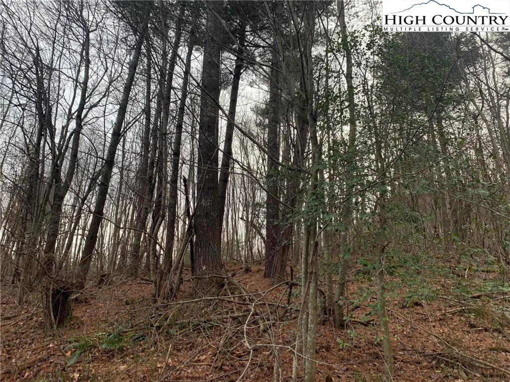 Image number 1 for the current listing