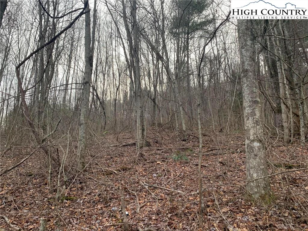 Image number 3 for the current listing
