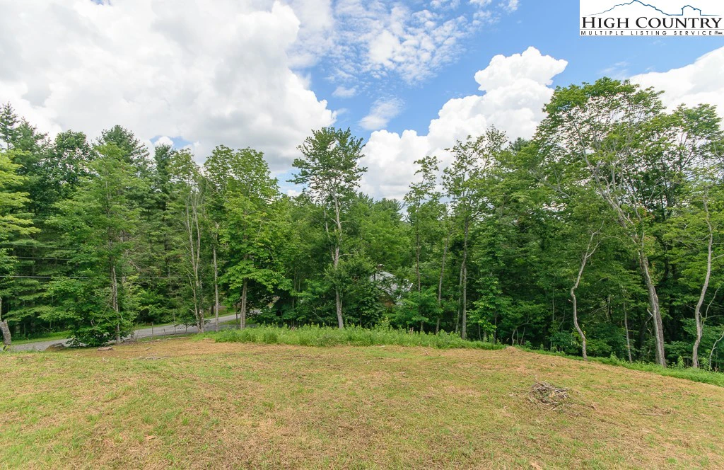 Image number 3 for the current listing