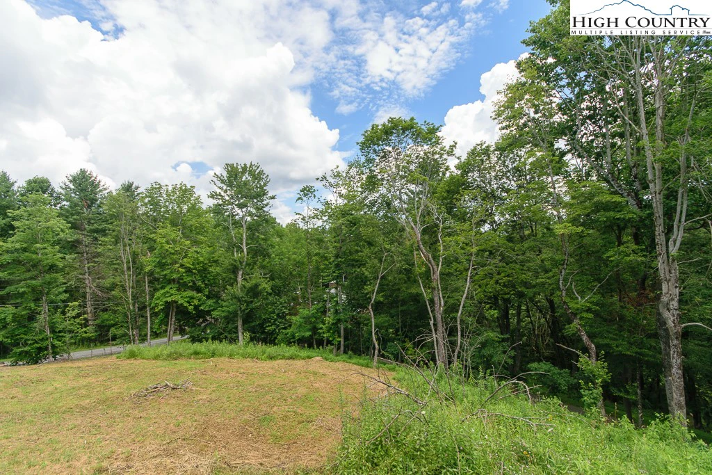 Image number 6 for the current listing