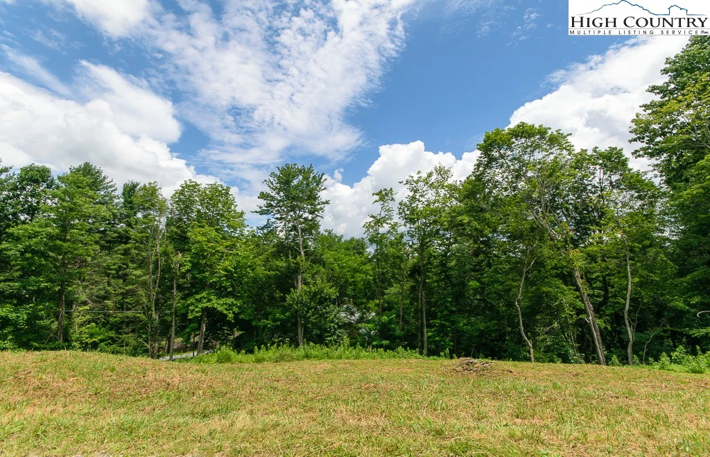 Image number 7 for the current listing