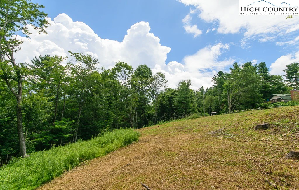 Image number 8 for the current listing