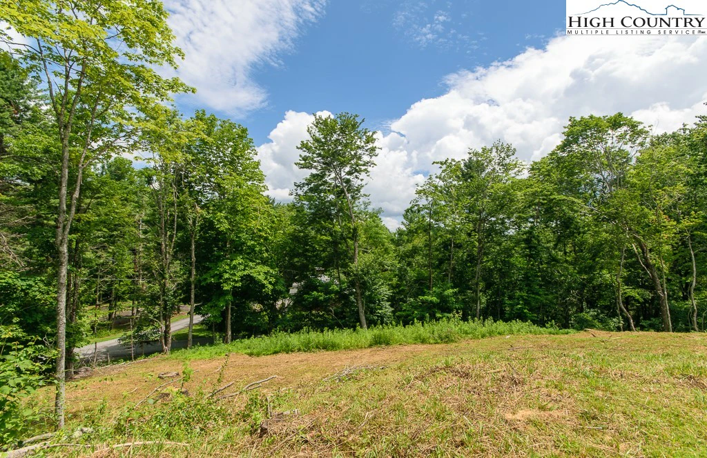 Image number 9 for the current listing