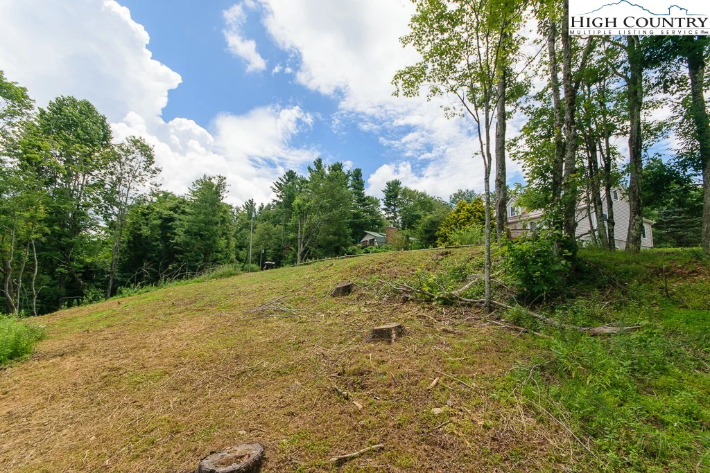 Image number 10 for the current listing