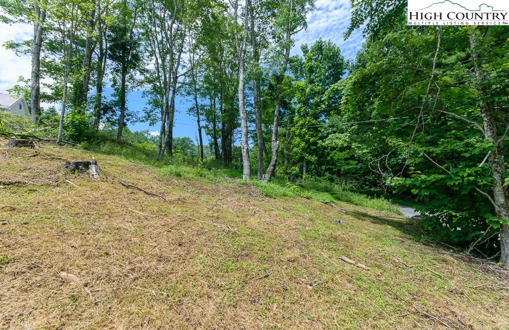 Image number 11 for the current listing