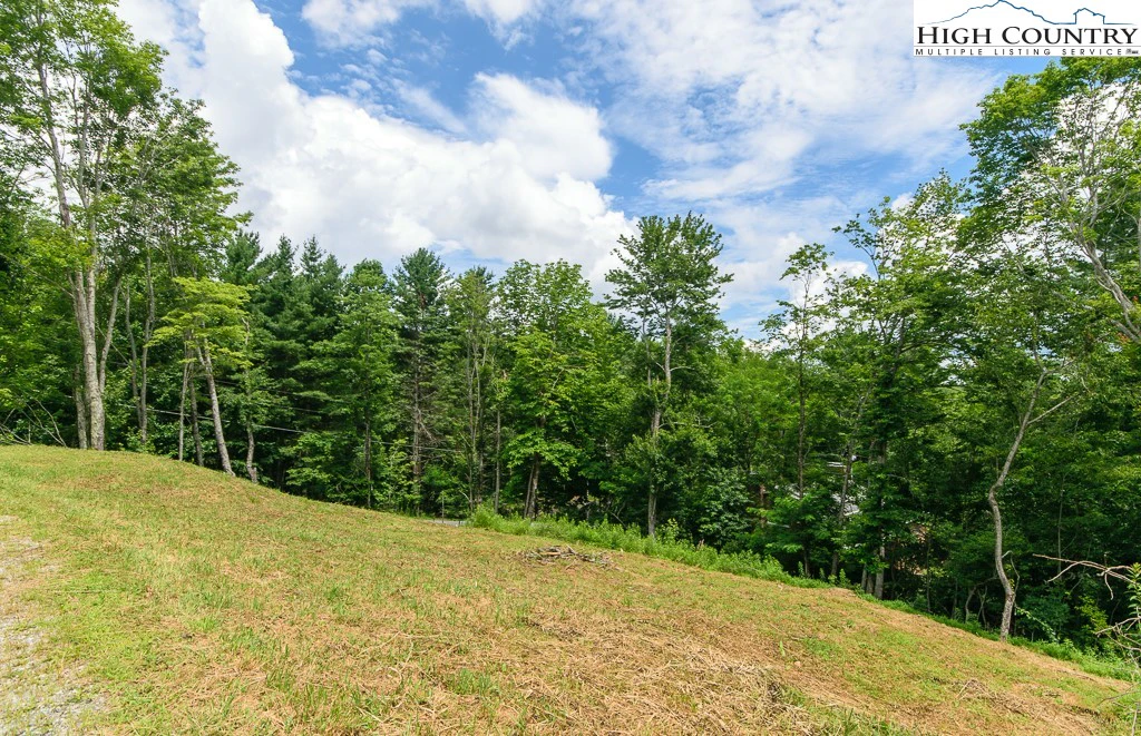 Image number 13 for the current listing