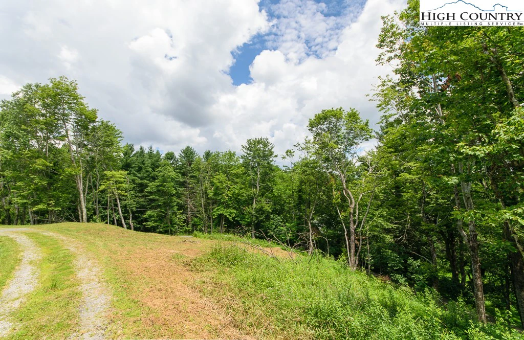 Image number 14 for the current listing