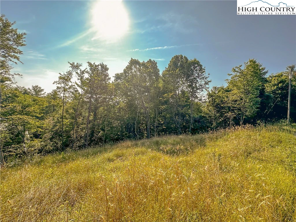 Image number 15 for the current listing
