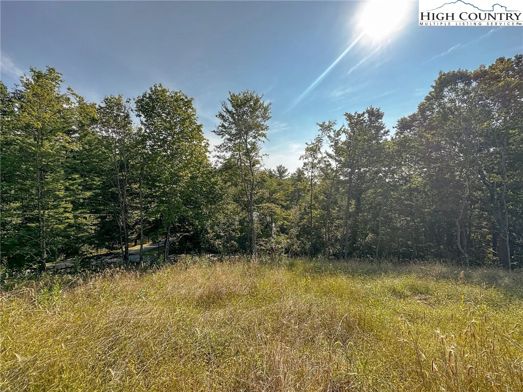 Image number 16 for the current listing
