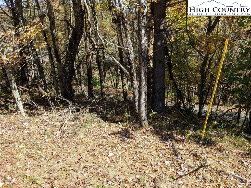 Image number 3 for the current listing