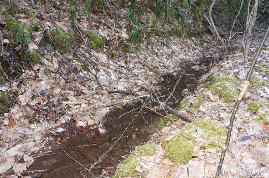 Image number 4 for the current listing
