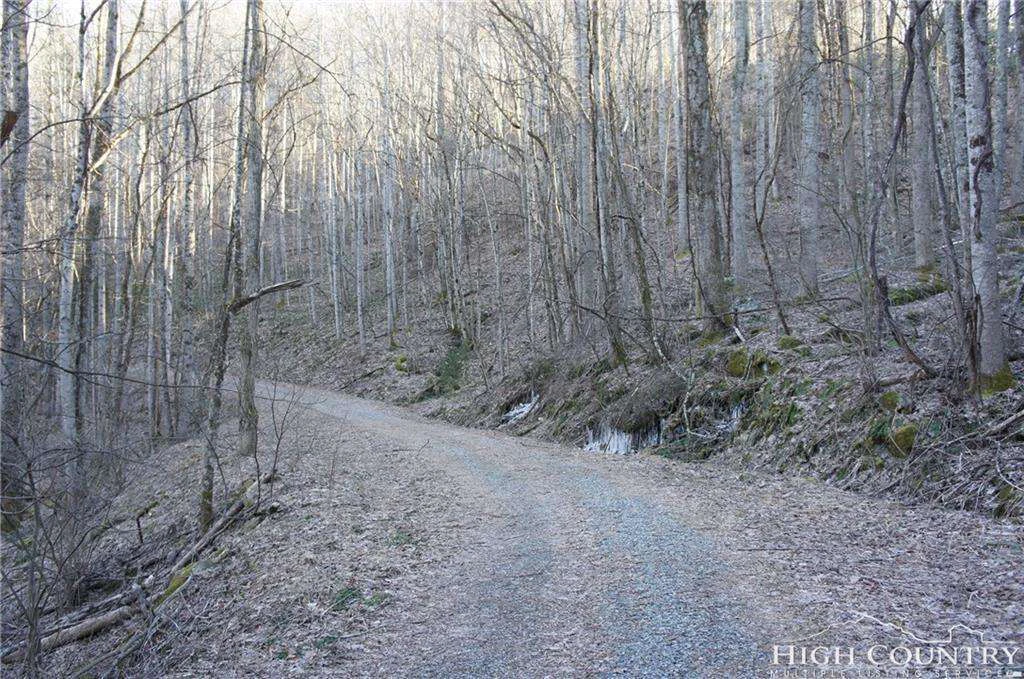 Image number 16 for the current listing