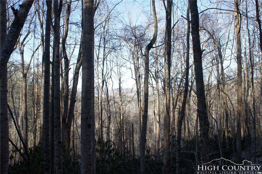 Image number 11 for the current listing