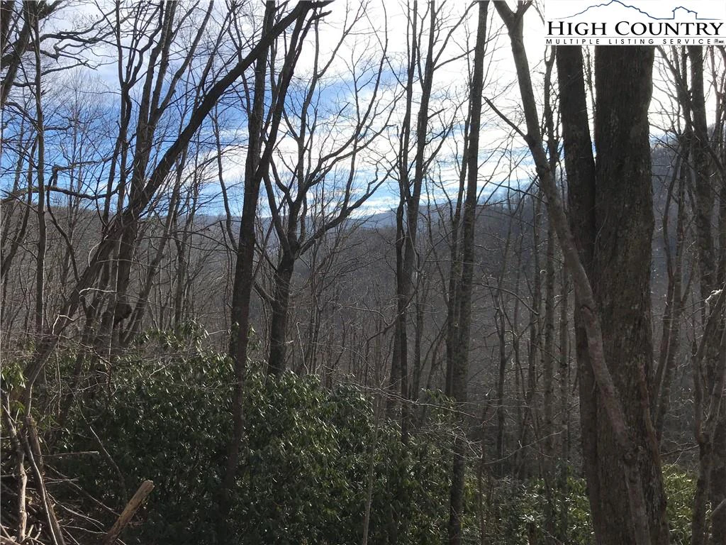 Image number 1 for the current listing