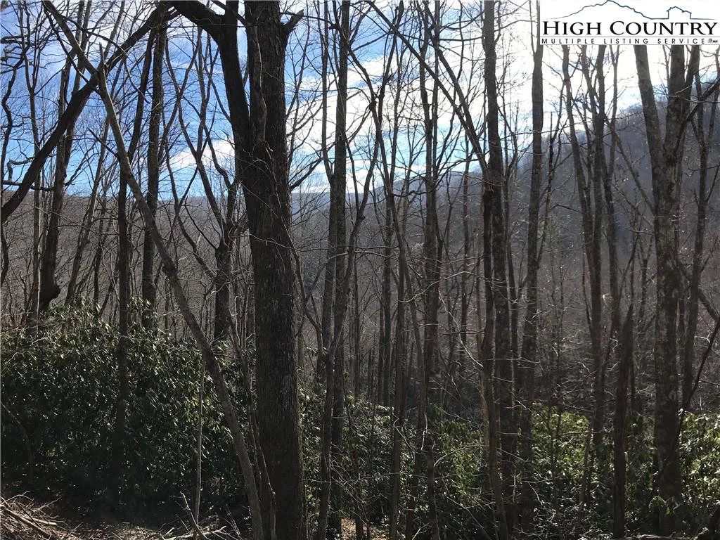 Image number 3 for the current listing
