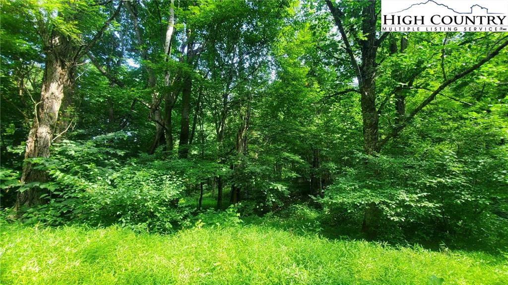 Image number 1 for the current listing