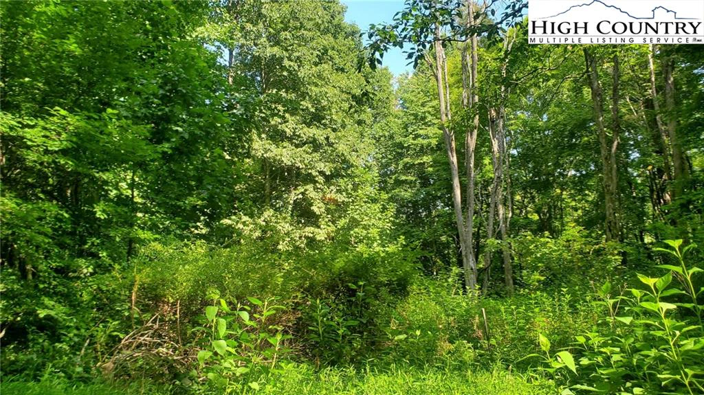 Image number 11 for the current listing