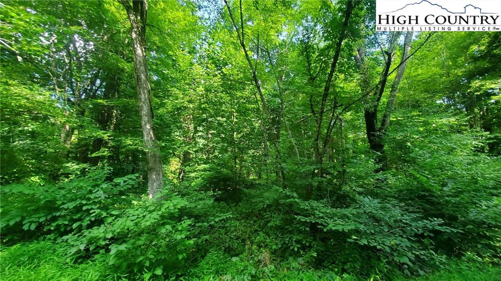 Image number 13 for the current listing